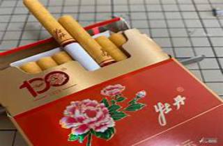 哪个烟比较柔今日细数，专业探讨柔和口感之选